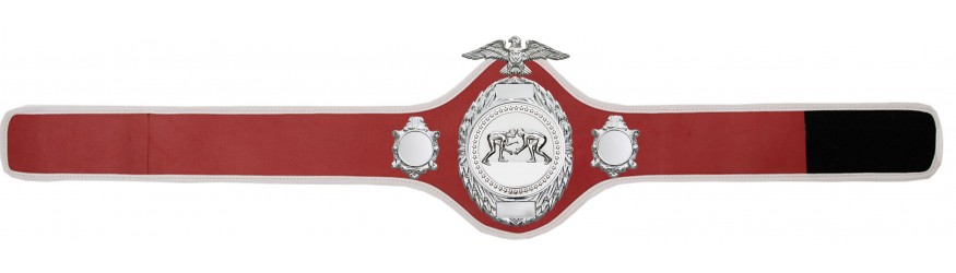 GRAPPLING CHAMPIONSHIP BELT - PRO288/S/GRAPS - 10 COLOURS